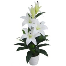 Witte Kunst Lelie Plant 75c