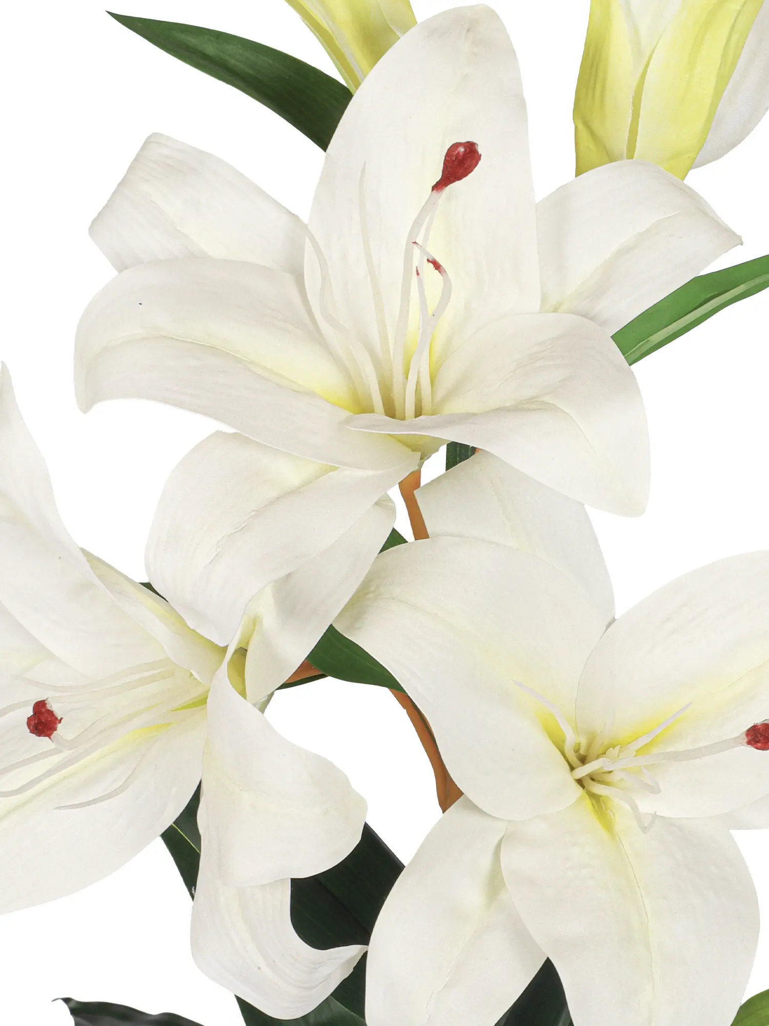 Witte Kunst Lelie Plant 75cm