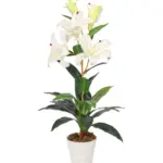 Witte Kunst Lelie Plant 75cm