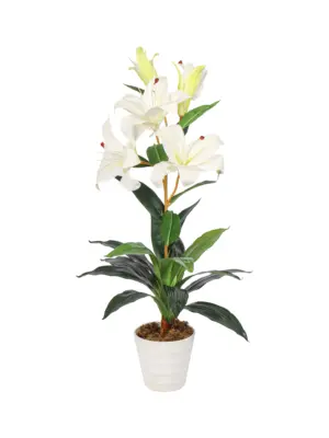 Witte Kunst Lelie Plant 75cm