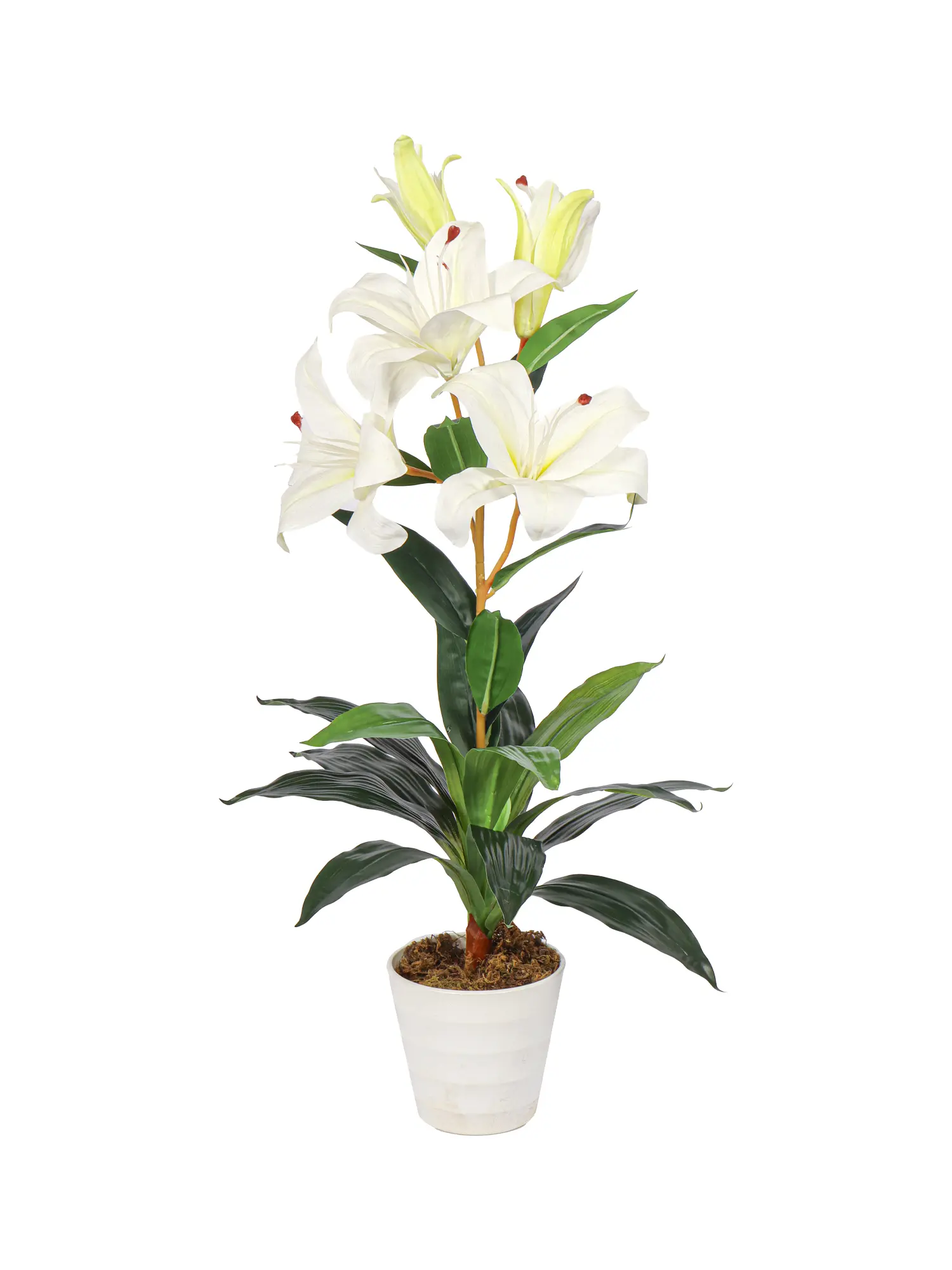 Witte Kunst Lelie Plant 75cm