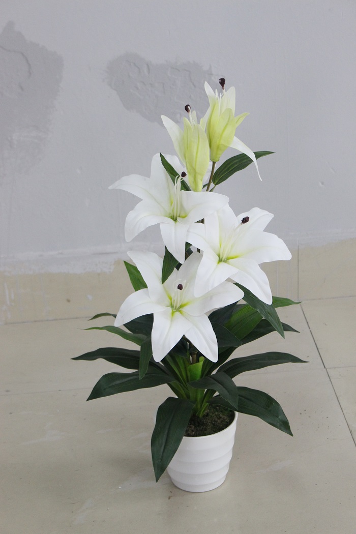 Witte Kunst Lelie Plant 75c