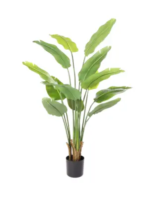 Kunst Bananenboom Guadeloupe 140cm