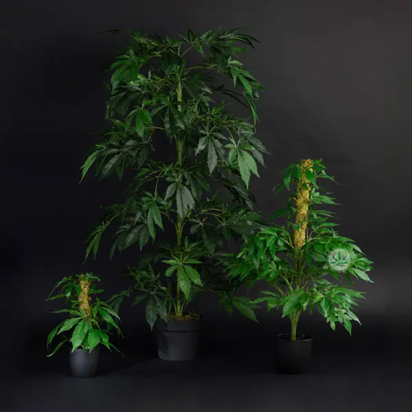 Kunstwiet Stek 60cm - Afbeelding 4