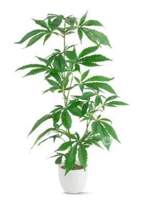 Kunstwiet Stek 60cm
