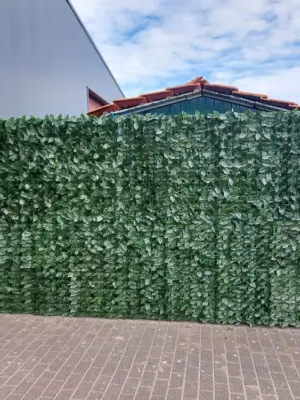 Kunsthaag Op Rol Beukenblad