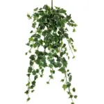 Bonte Nepklimop Hangplant Voor Buiten 90cm