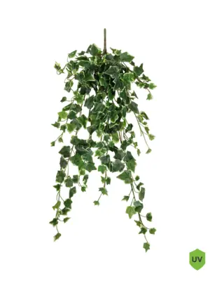 Bonte Nepklimop Hangplant Voor Buiten 90cm