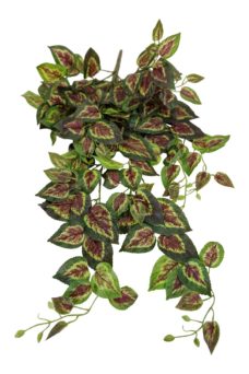 Kunst Begoniablad Bundel 80cm