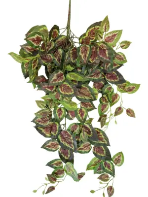 Kunst Begoniablad Bundel 80cm
