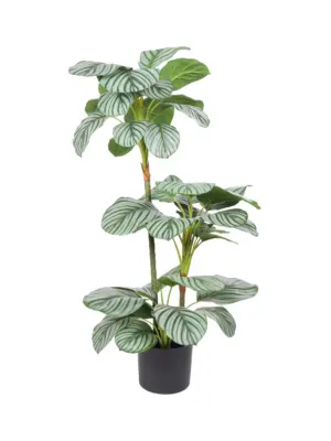 Kunst Kamerplant Calathea 100cm