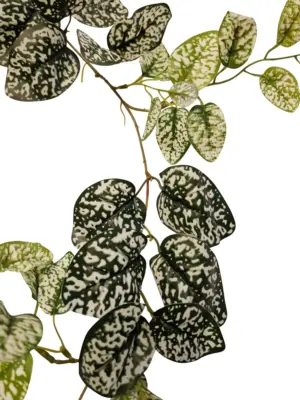 Namaak Scindapsus Slinger Gevlekt 220cm