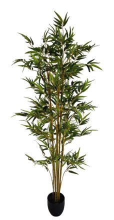 Nep Bamboeplant 180cm