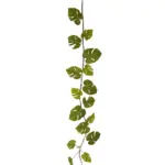 Gatenplant Slinger met Grote bladeren 180cm