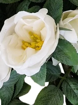 Kunst Hangplant Witte Rozen 80cm