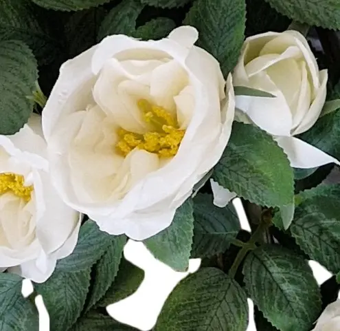 Kunst Hangplant Witte Rozen 80cm