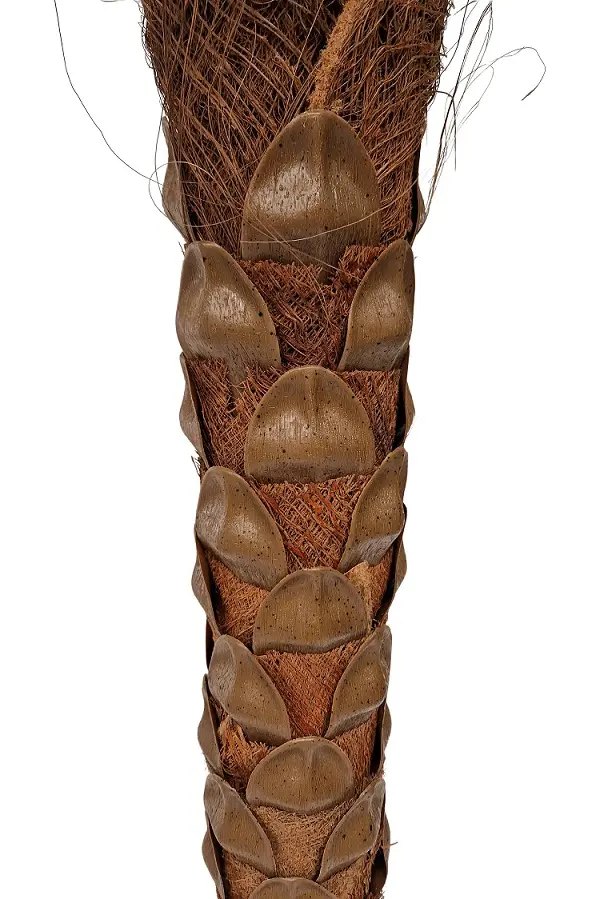 Kunst Kokospalm Mallorca 250cm