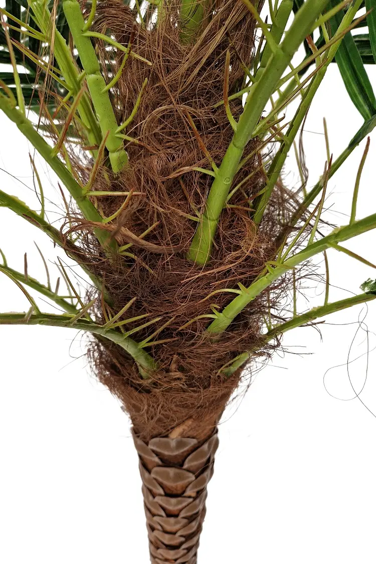 Kunst Kokospalm Mallorca 250cm