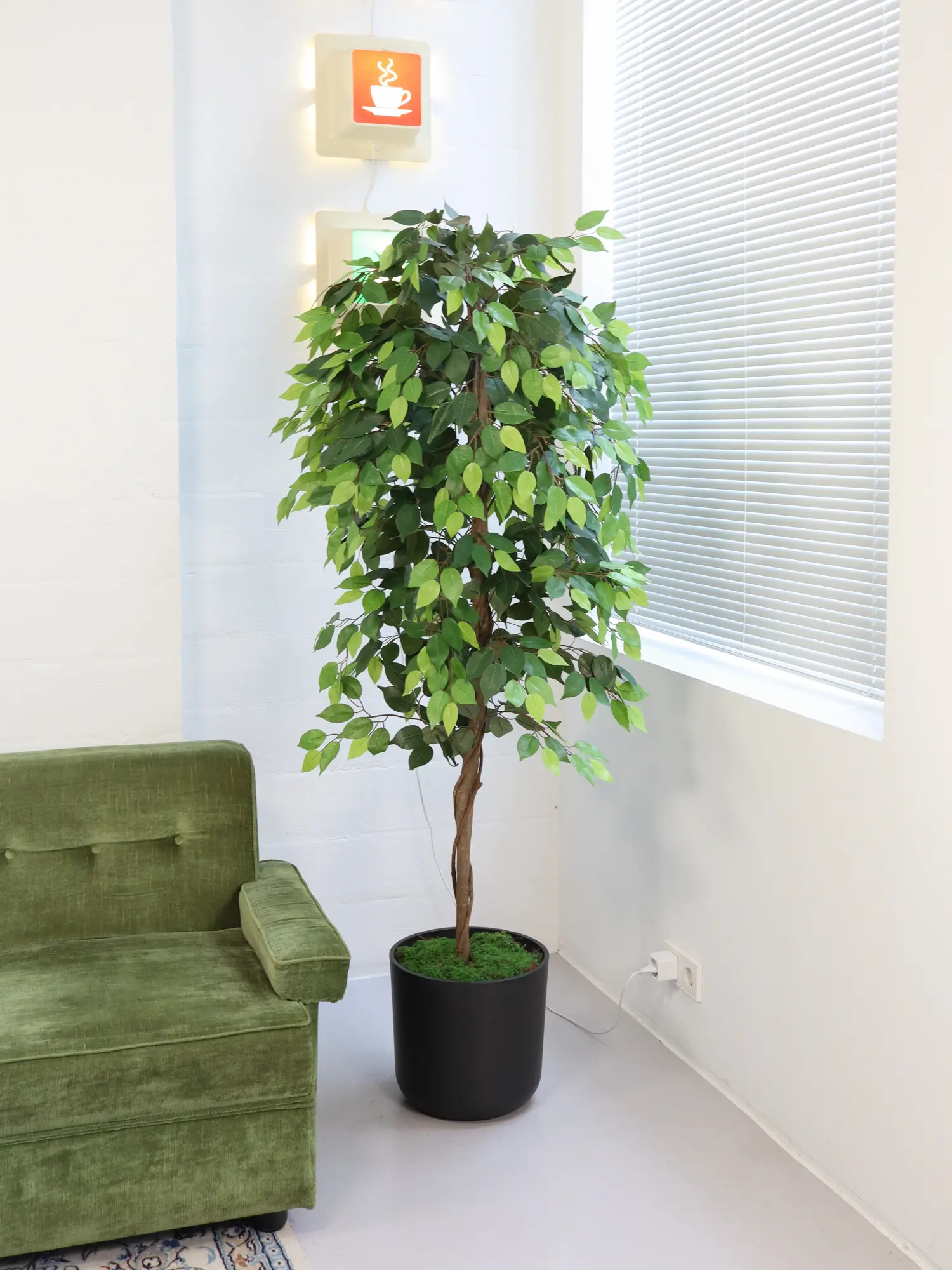 Kunst Ficus Mixgroen 180cm sfeerfoto van Kunstpalm.nl
