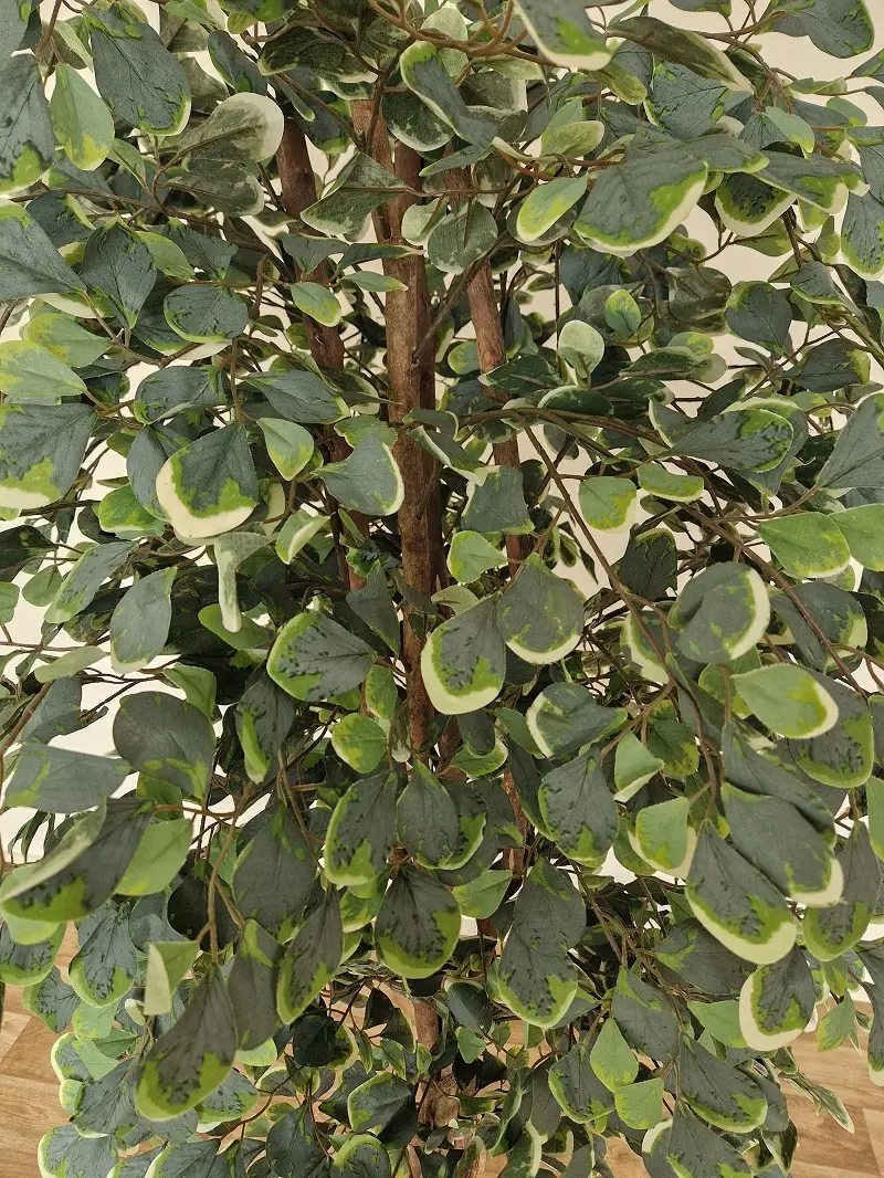 Kunst Kamerlinde Mixblad 185cm