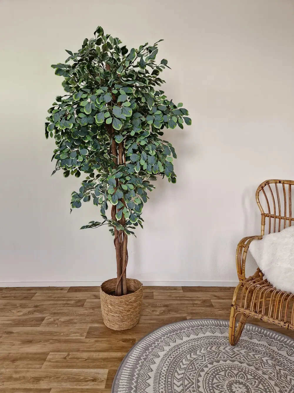 Kunst Kamerlinde Mixblad 185cm