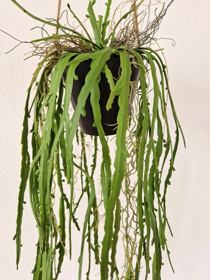 Kunsthangplant In Pot Aloë 95cm