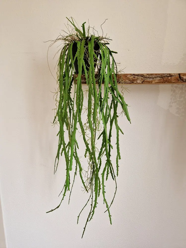 Kunsthangplant In Pot Aloë 95cm