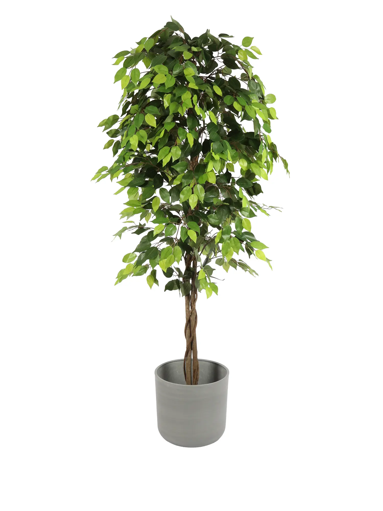 Kunst Ficus Mixgroen 180cm