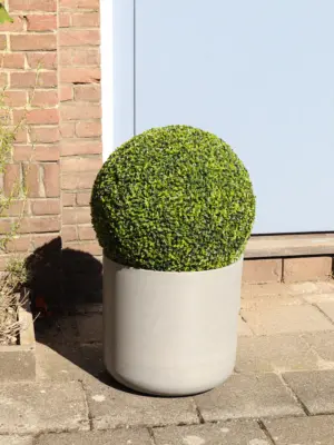 Kunst Buxus Bol De Luxe 45cm