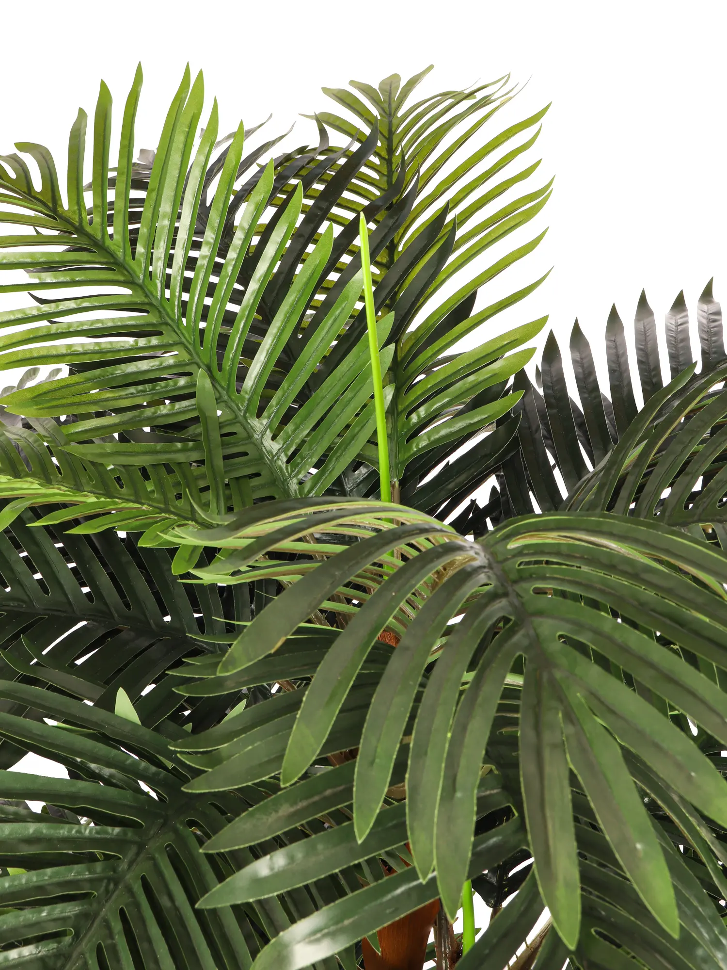 Kunstpalm Malta 190cm