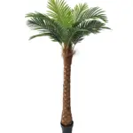 Haal de tropische sfeer in huis met de Kunst Kokospalm Mallorca