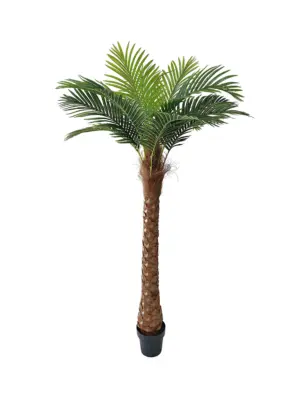 Haal de tropische sfeer in huis met de Kunst Kokospalm Mallorca