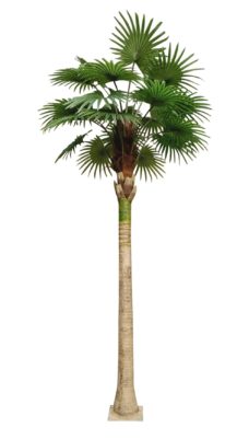 Kunst Waaierpalmboom Bora Bora 460cm