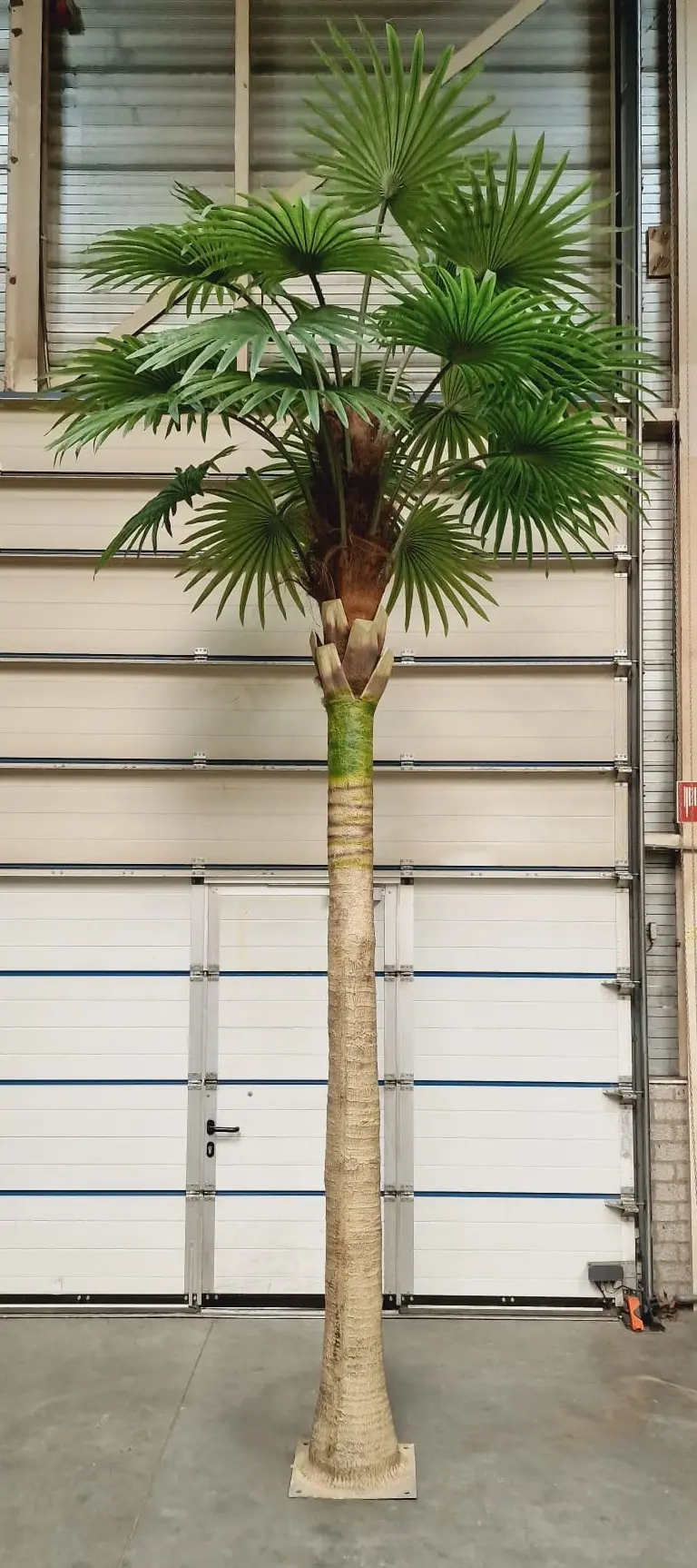 Kunst Waaierpalmboom Bora Bora 460cm