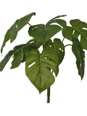 Kunst Gatenplant Zonder Pot