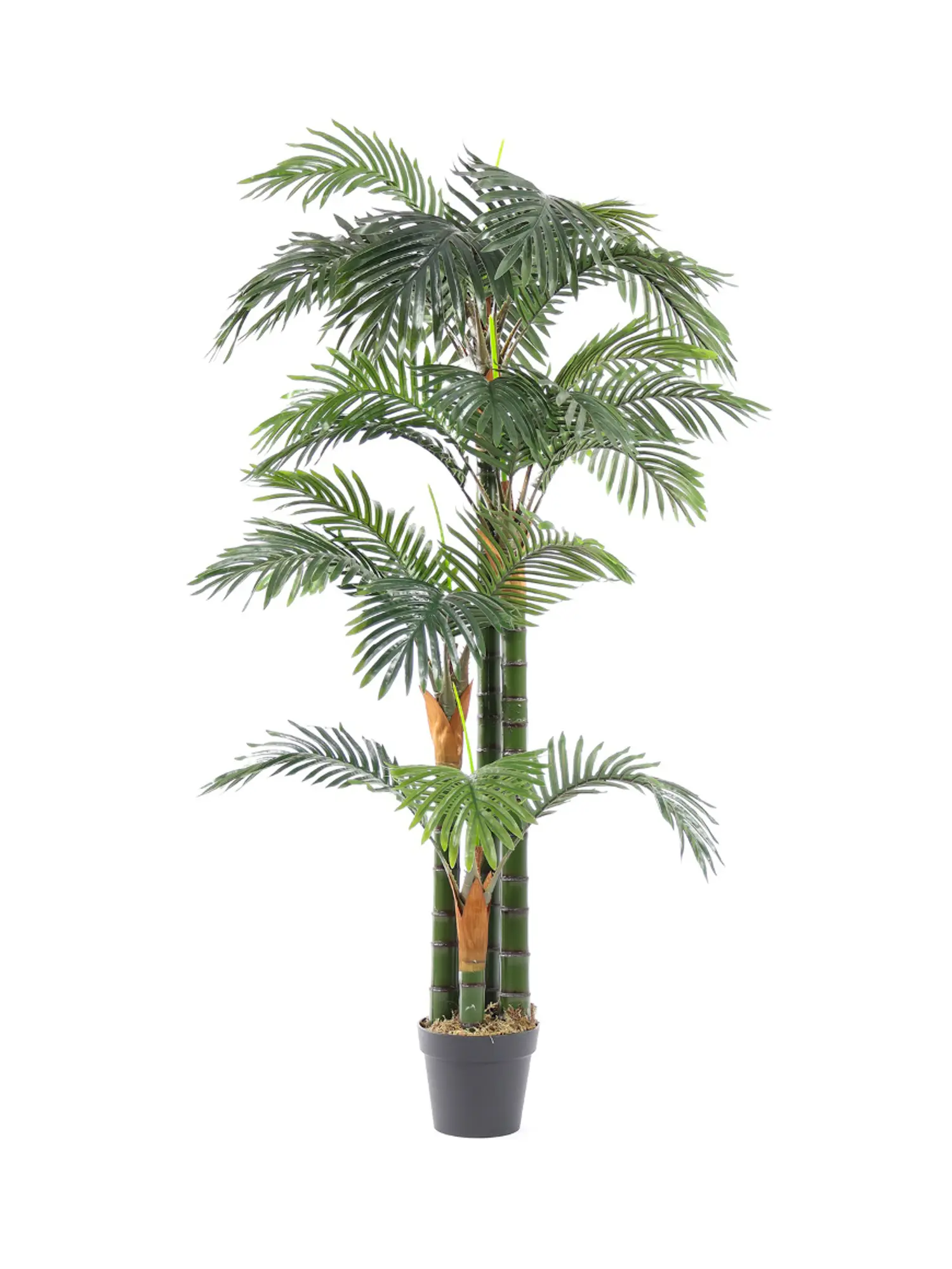 Kunstpalm Florida 165cm