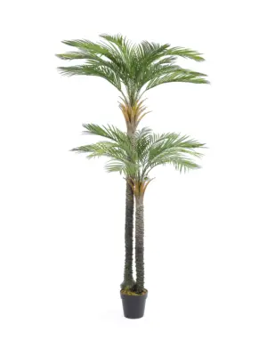 Dubbelstam Kunstpalm California 210cm