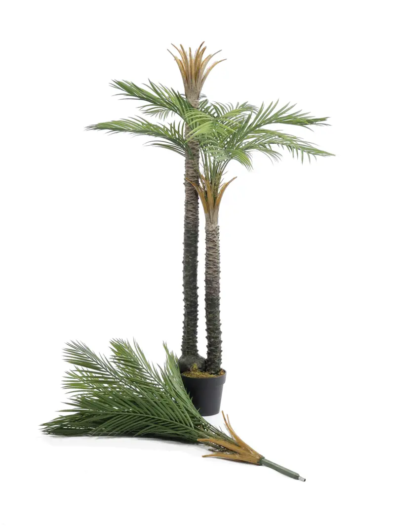 Dubbelstam Kunstpalm California 210cm