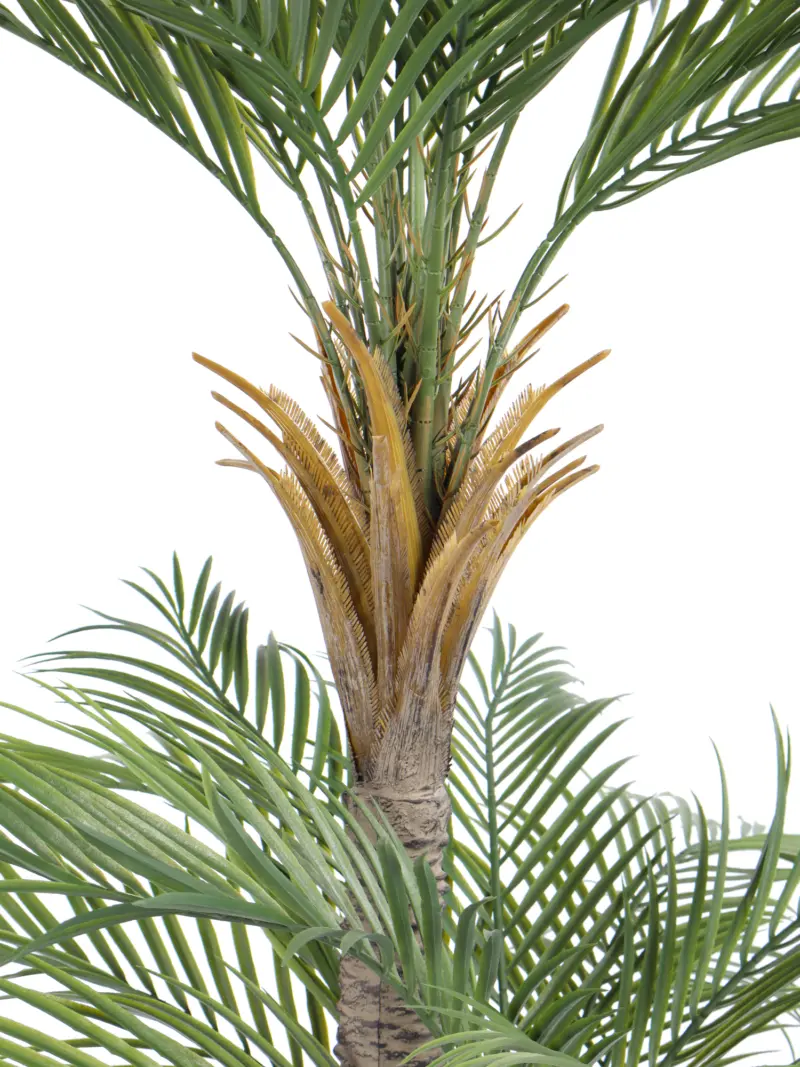 Dubbelstam Kunstpalm California 210cm