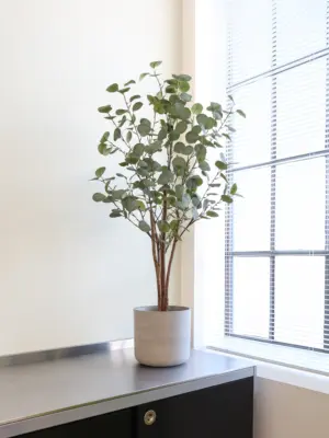Kunst Eucalyptus Koala 120cm van Kunstpalmnl