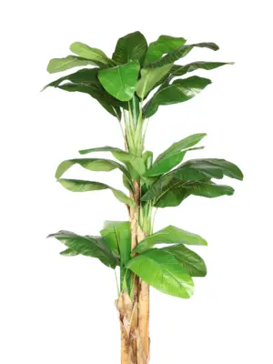 Kunstbanaanboom Jamaica 260cm