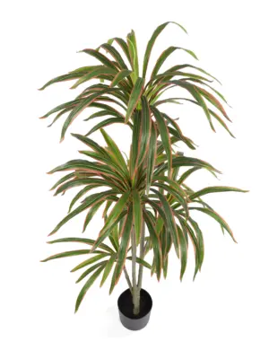 Kunstdracaena Merida 175cm