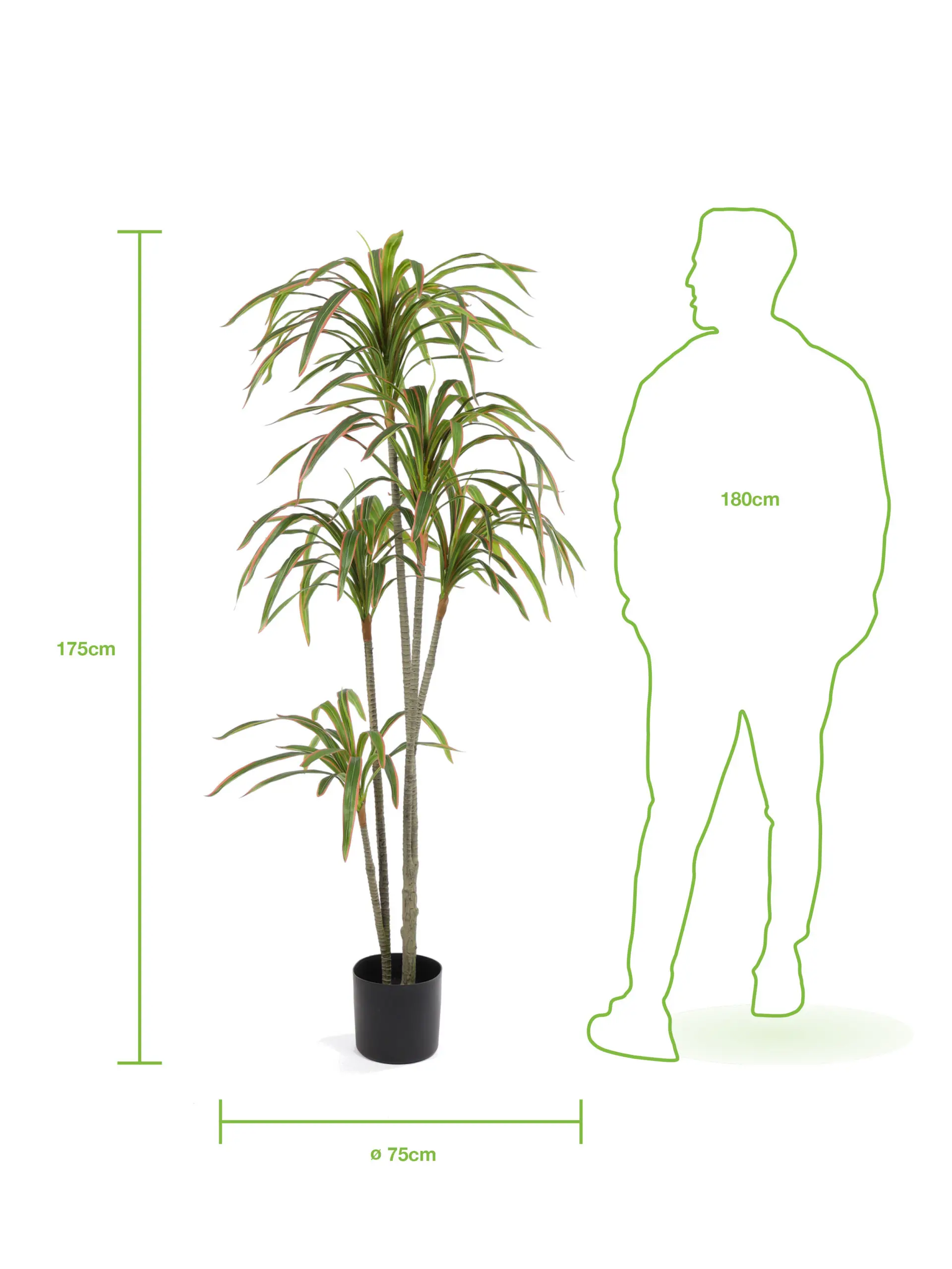 Kunstdracaena Merida 175cm