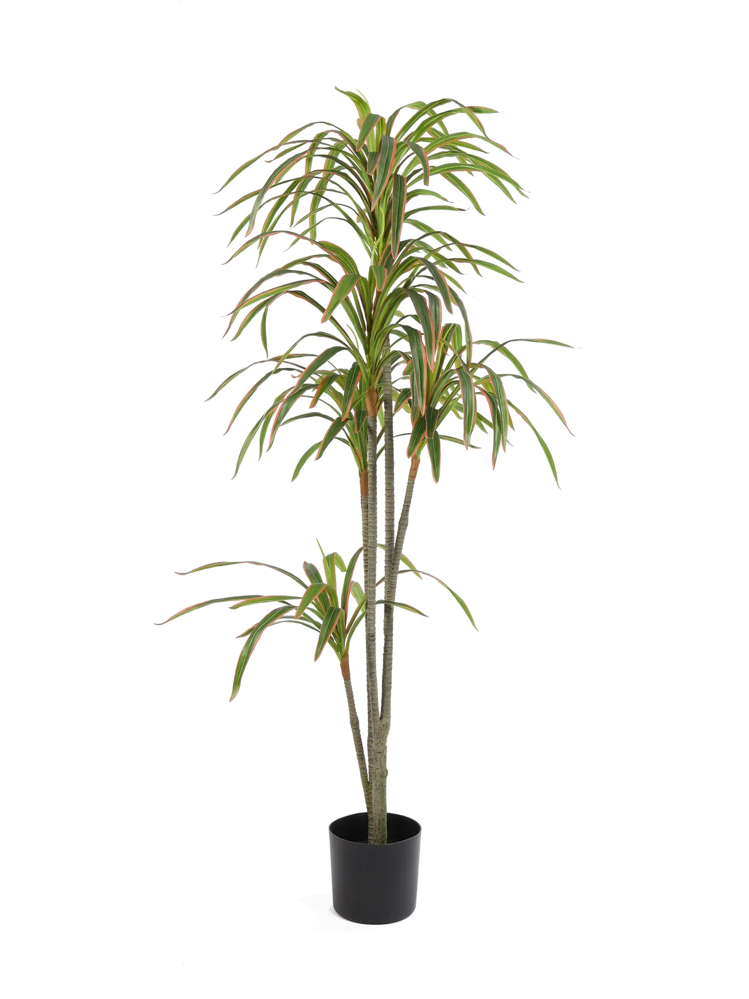 Kunstdracaena Merida 175cm