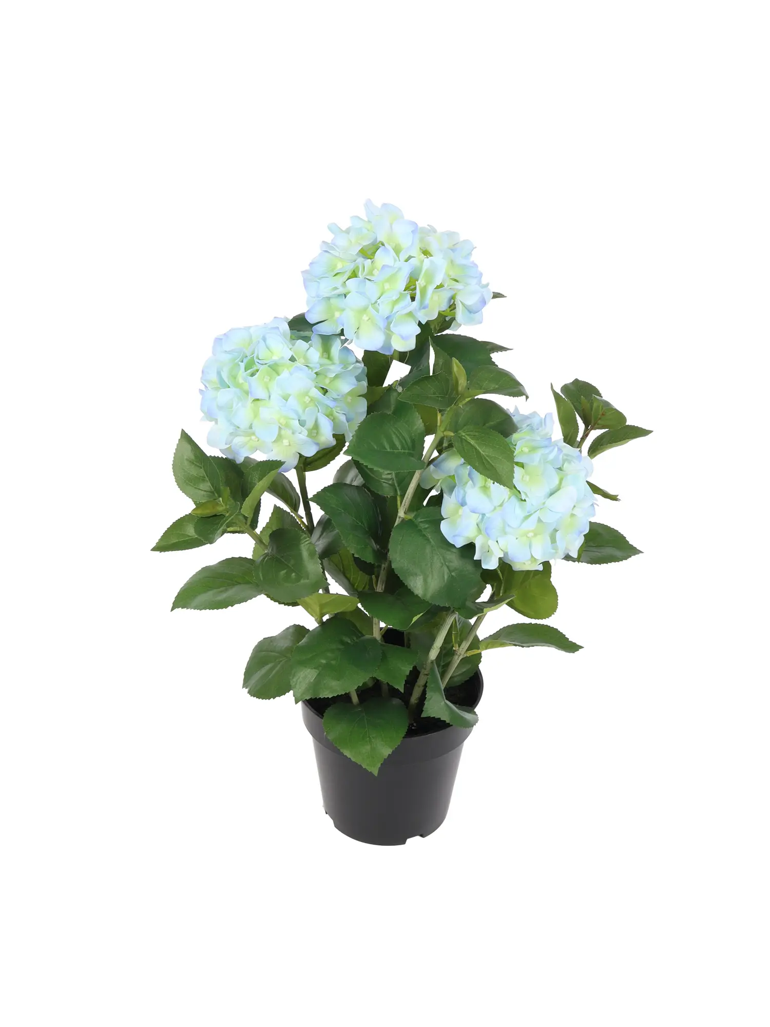 Grote Kunst Hortensia Blauw 65cm