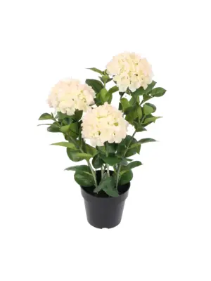 Grote Kunst Hortensia Wit-Roze 65cm