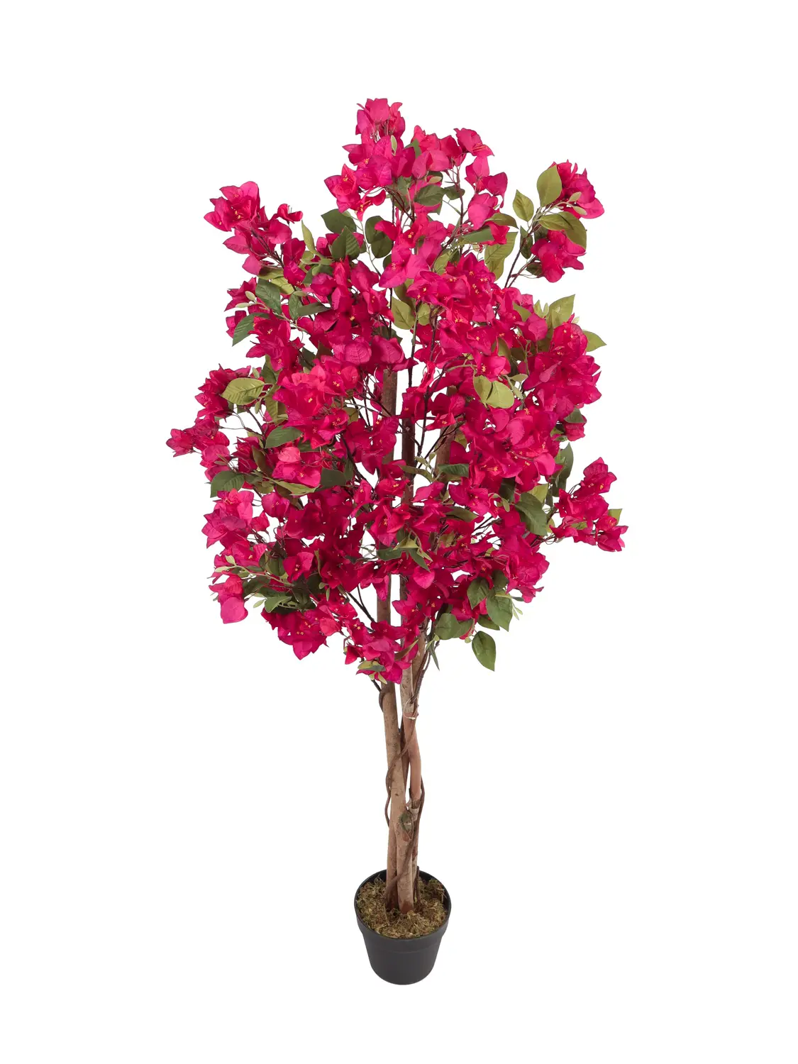 Kunst Bougainville 150cm