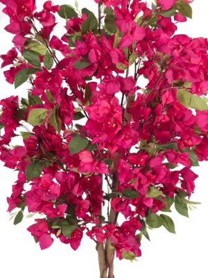 Kunst Bougainville 150cm