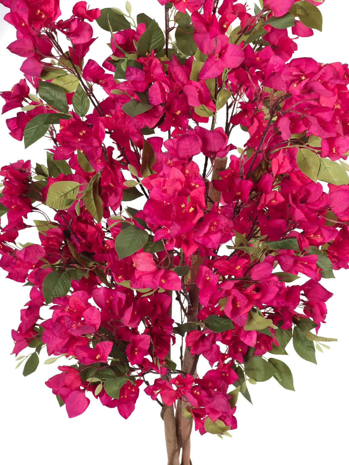 Kunst Bougainville 150cm