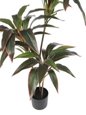 Kunst Kamerplant Dracena Roodrand 90cm